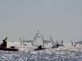 OptiNats_UK060022001