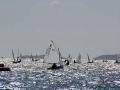 OptiNats_UK060023001