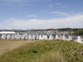 OptiNats_UK060028001