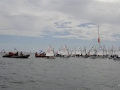 OptiNats_UK060041001