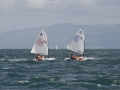 OptiNats_UK060042001