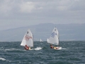 OptiNats_UK060043001