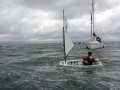 OptiNats_UK060164001