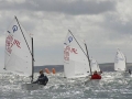 OptiNats_UK060175001