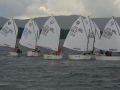 Picture_139