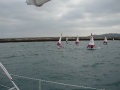 DSC05984
