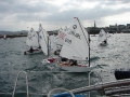 DSC06074