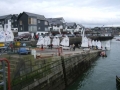 Oppi_training_Kinsale_028