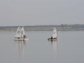 IMG_1984