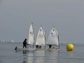 DSC04808