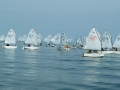 P5115013