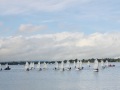 IMG_9704