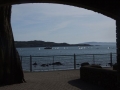DSCF1082