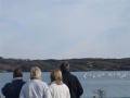 DSCF1087
