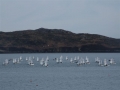 DSCF1088