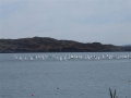 DSCF1089