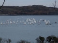 DSCF1096