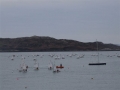 DSCF1149