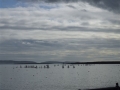 DSCF1223