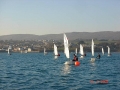 DSC00008