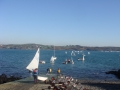 schull_08_dara_164