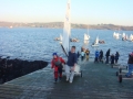 schull_08_dara_171