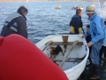 schull_08_dara_173