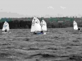 DSC1124