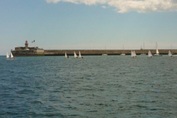 Regatta Fleet at the Leinsters